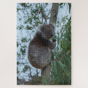 Australia Kangaroo Island Koala Tree, 1014 pieces Jigsaw Puzzle