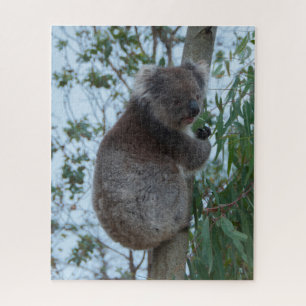 Australia Kangaroo Island Koala Tree, 520 pieces Jigsaw Puzzle