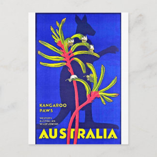 Australia, kangaroo paws, Australian wildflowers Postcard