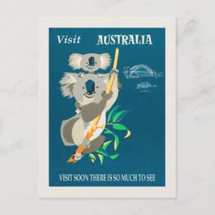 Australia Koala Bear Vintage Travel Poster Postcard