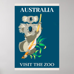 Australia Koala Bear Visit The Zoo Vintage Travel Poster