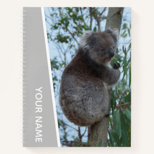 Australia Koala in a Eucalyptus Tree, Silver Notebook