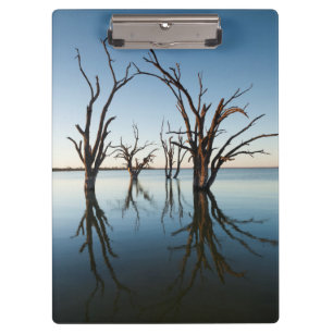 Australia, Murray River Valley, Barmera, Lake Clipboard