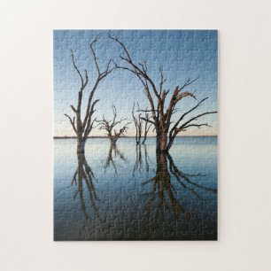 Australia, Murray River Valley, Barmera, Lake Jigsaw Puzzle