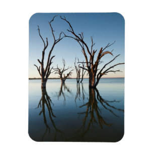 Australia, Murray River Valley, Barmera, Lake Magnet