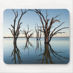 Australia, Murray River Valley, Barmera, Lake Mouse Pad