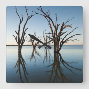 Australia, Murray River Valley, Barmera, Lake Square Wall Clock