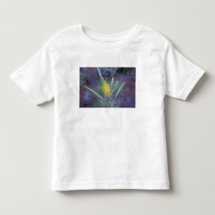 Australia, NT, near Ayers Rock. Springtime bloom Toddler T-Shirt