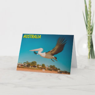 Australia pelican card