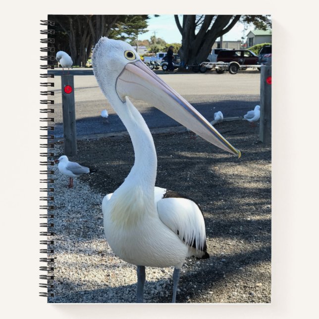 Australia; Pelican - Travel Notebook (Front)