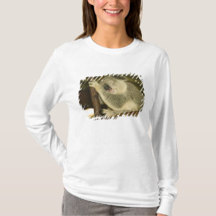Australia, Queensland, Brisbane. Fig Tree T-Shirt