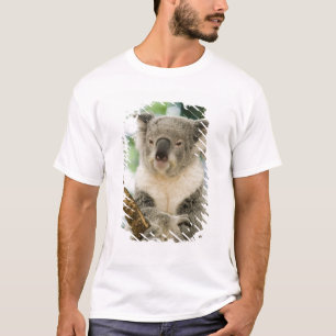 Australia, Queensland, Brisbane, Fig Tree T-Shirt