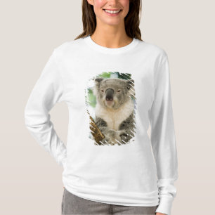 Australia, Queensland, Brisbane, Fig Tree T-Shirt