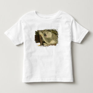 Australia, Queensland, Brisbane. Fig Tree Toddler T-Shirt
