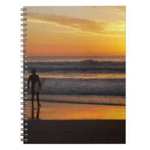 Australia, Queensland, Gold Coast, Surfers at Notebook