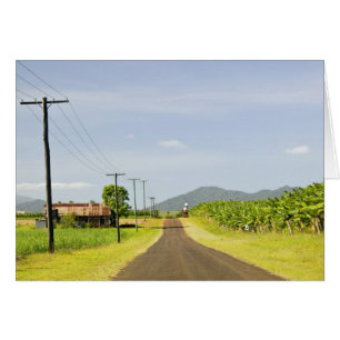 Australia, Queensland, North Coast, Babinda.