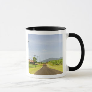 Australia, Queensland, North Coast, Babinda. Mug