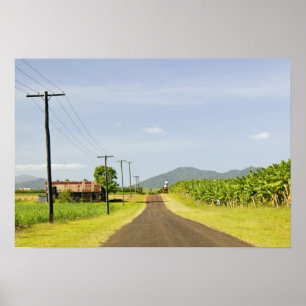 Australia, Queensland, North Coast, Babinda. Poster
