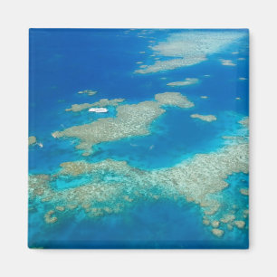 Australia, Queensland, North Coast, Cairns 3 Magnet