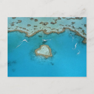 Australia, Queensland, The Whitsunday Islands, Postcard