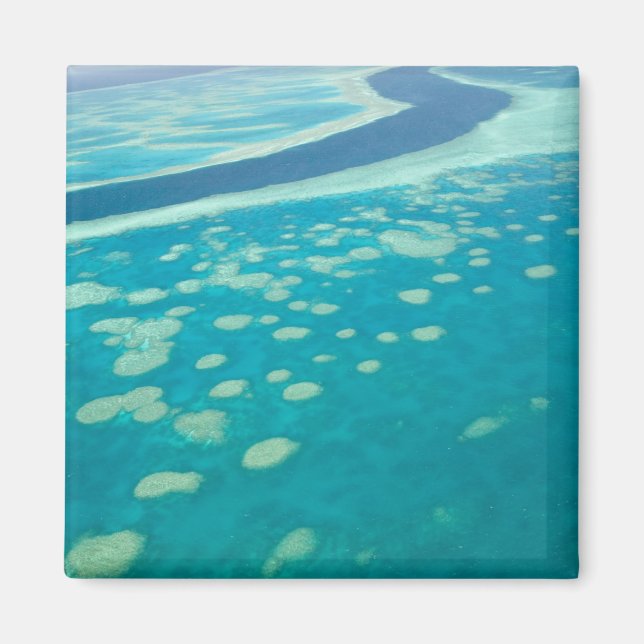 Australia, Queensland, Whitsunday Coast, Great 4 Magnet (Front)