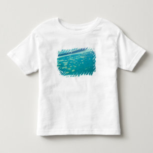 Australia, Queensland, Whitsunday Coast, Great 4 Toddler T-Shirt
