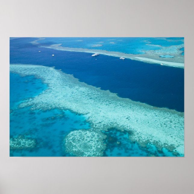 Australia, Queensland, Whitsunday Coast, Great 5 Poster (Front)