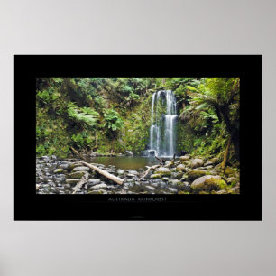 AUSTRALIA RAINFOREST POSTER