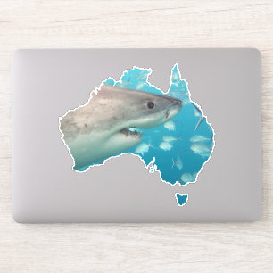 Australia Shape Great White Shark Close Up