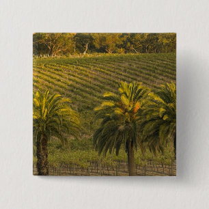 Australia, South Australia, Barossa Valley, 15 Cm Square Badge
