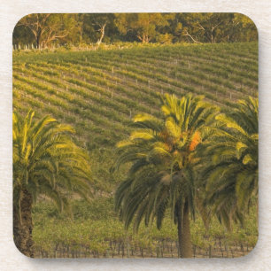 Australia, South Australia, Barossa Valley, Coaster
