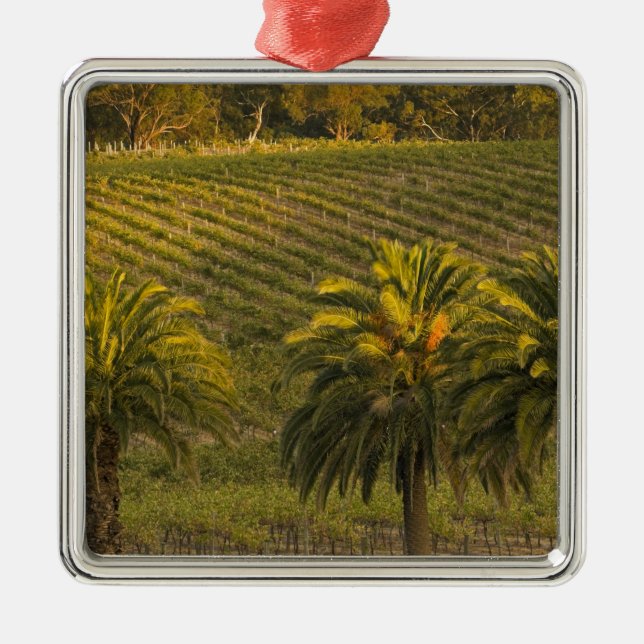 Australia, South Australia, Barossa Valley, Metal Tree Decoration (Front)