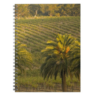 Australia, South Australia, Barossa Valley, Notebook