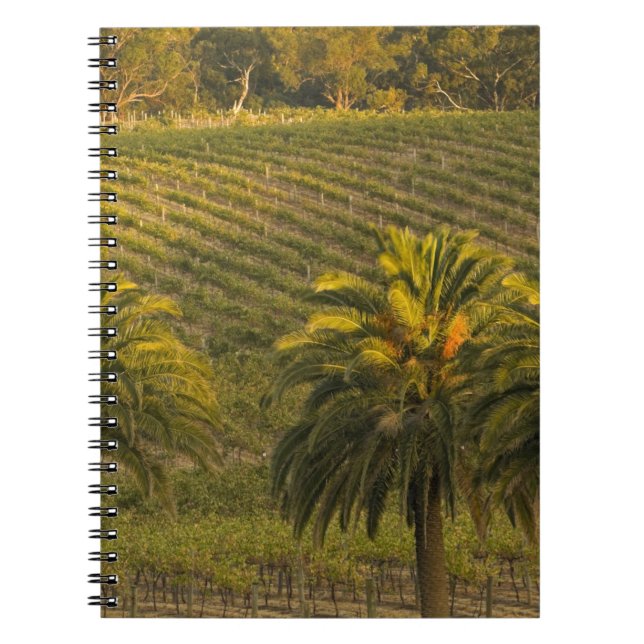 Australia, South Australia, Barossa Valley, Notebook (Front)