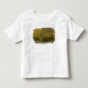 Australia, South Australia, Barossa Valley, Toddler T-Shirt
