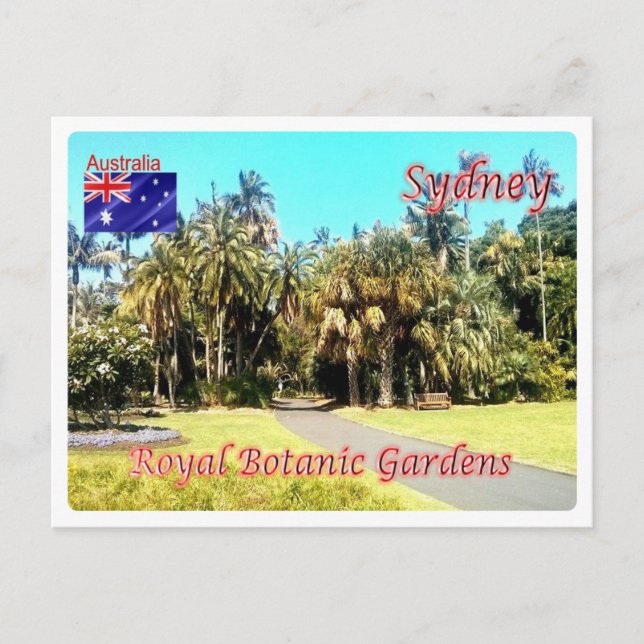 Australia - Sydney - Royal Botanic Gardens - Postcard (Front)