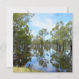 Australia The River Murray, Holiday Card