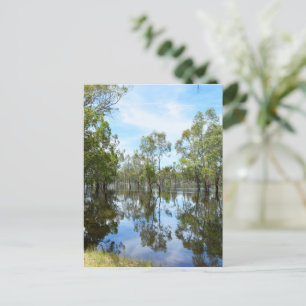 Australia The River Murray, Postcard