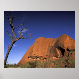 Australia, Uluru Kata Tjuta National Park, Uluru Poster