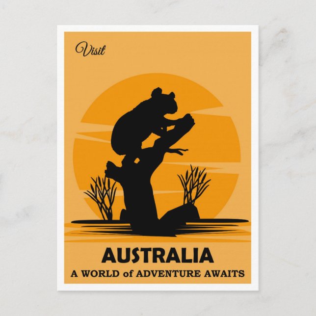 Australia Vintage Koala Bear Travel Postcard (Front)