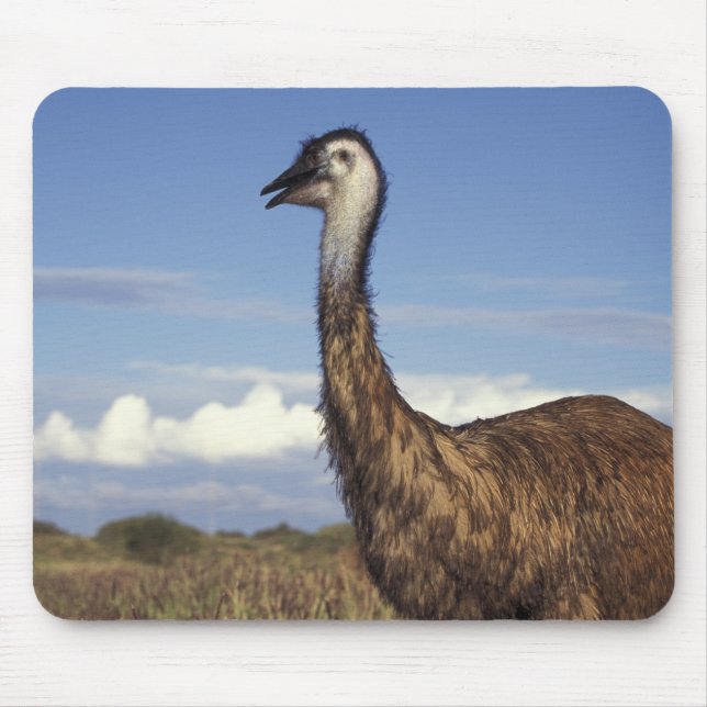 Australia, Western Australia. Emu (Dromaius Mouse Pad (Front)