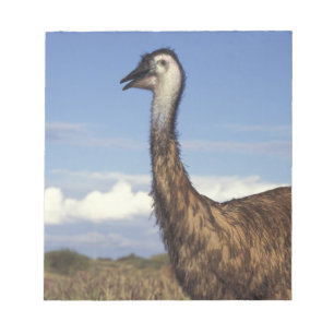 Australia, Western Australia. Emu (Dromaius Notepad