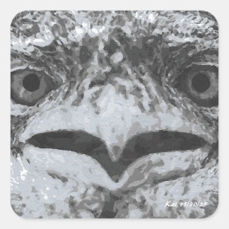 Australia Wildlife, Nature's Curmudgeon, Animal Square Sticker