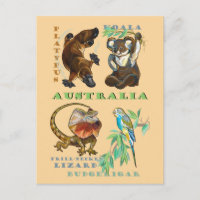 Australia wildlife