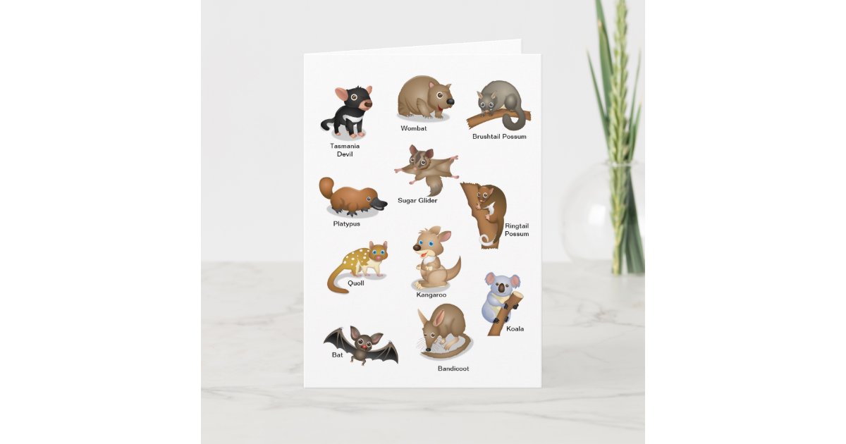 australian animal greeting card zazzlecomau