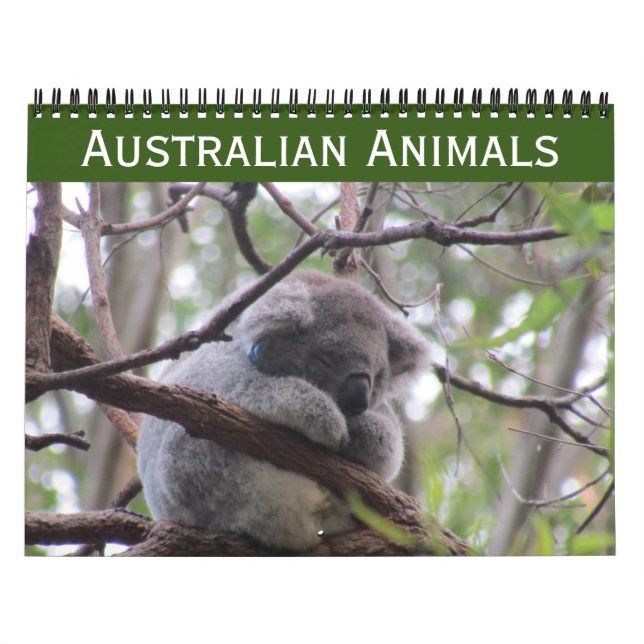 australian animals 2026 calendar (Cover)