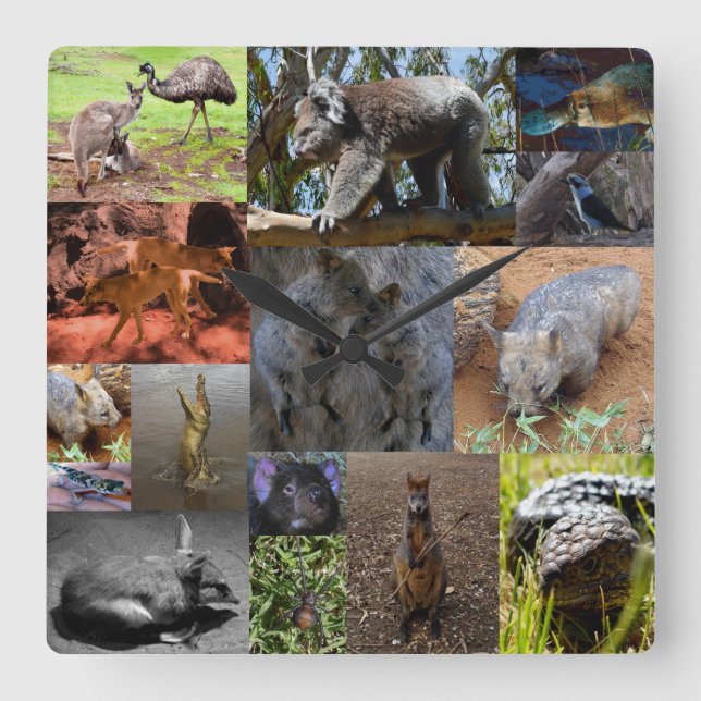 Australian Animals Photo Collage, Wall Clock (Front)
