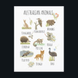 Australian Animals  Postcard<br><div class="desc">This Australian animal postcard is great as an art piece for a classroom or as nursery decor. The design features a Kangaroo, Kookaburra, Wombat, Echidna, Possum, Koala, Platypus, Dingo and Emu. The postcard is gender-neutral in muted green, beige and grey tones, making them perfect for a boy or girl. You...</div>