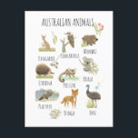Australian Animals  Postcard<br><div class="desc">This Australian animal postcard is great as an art piece for a classroom or as nursery decor. The design features a Kangaroo, Kookaburra, Wombat, Echidna, Possum, Koala, Platypus, Dingo and Emu. The postcard is gender-neutral in muted green, beige and grey tones, making them perfect for a boy or girl. You...</div>