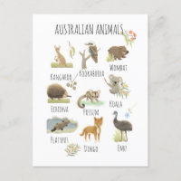 Australian Animals
